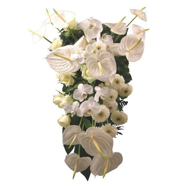 Imagem de florette II