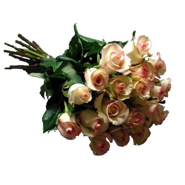 Imagem de rosas