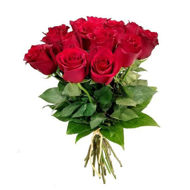 Imagem de rosas explorer