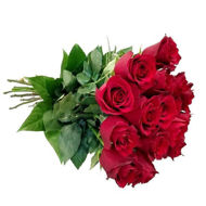 Imagem de rosas explorer