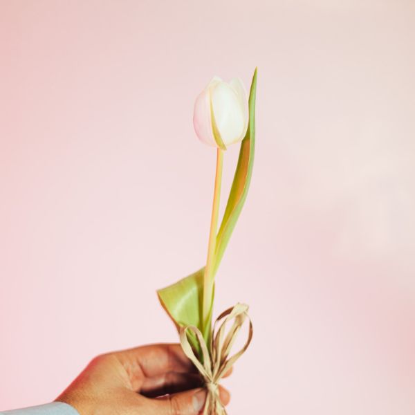 Imagem de tulipas - dia da mulher