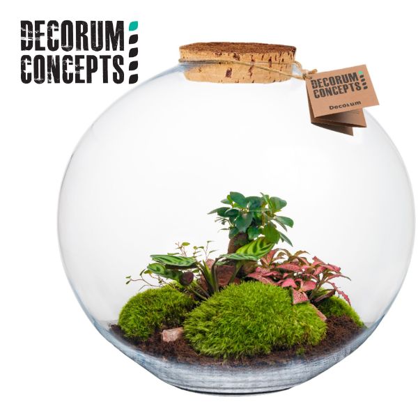Imagem de botanical collectables (XXL)