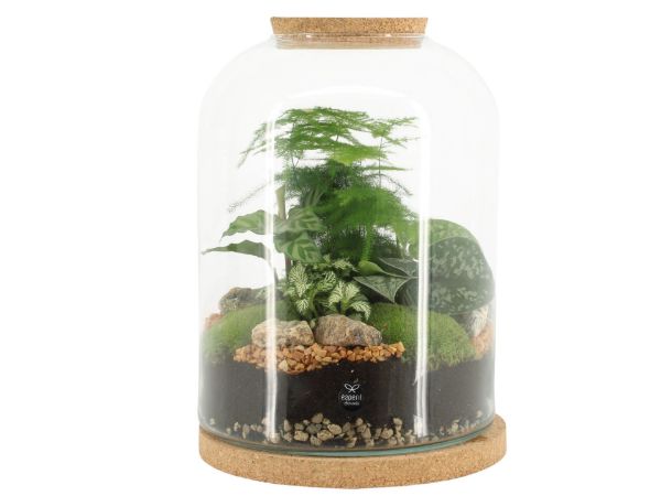Imagem de botanical collectables (XL)